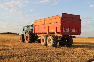 🚫 Save on Industrial Dumpster Rentals in Hendersonville – Eco & Economical Waste Solutions! 🚫