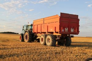 ✅ Smyrna Order A Dumpster Near Me – Effortless & Affordable Cleanup Solutions!