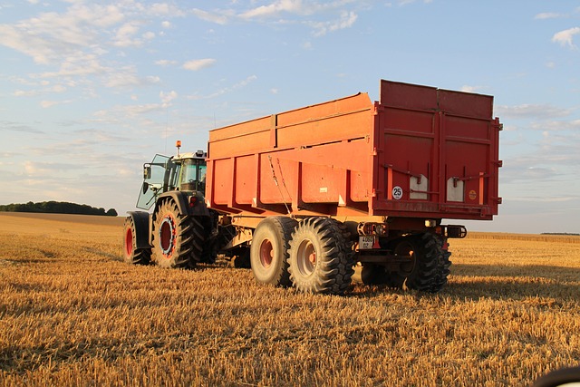 Save Money & Time: Top-Rated Dumpster Rental Near You in Lebanon TN