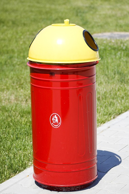 Save Big on Cleanup: Rent a Franklin Trash Bin Today!