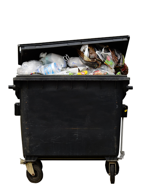 Save Time & Money: Rent a Garbage Dumpster in Lebanon, TN Today!