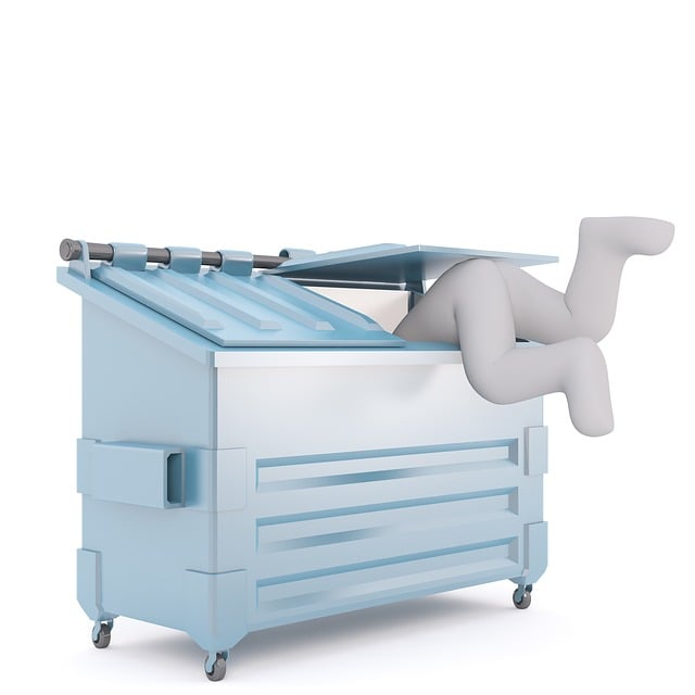 Save Money & Time: Top Franklin Trash Bin Rental Service