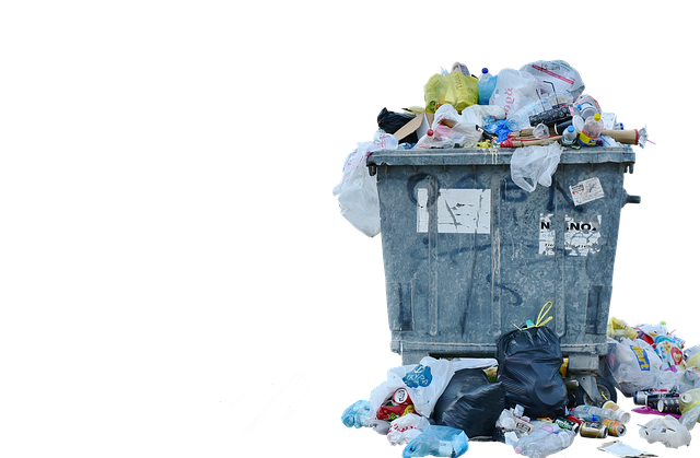 Affordable Debris Removal: Save Money with Dumpster Rentals Near You!